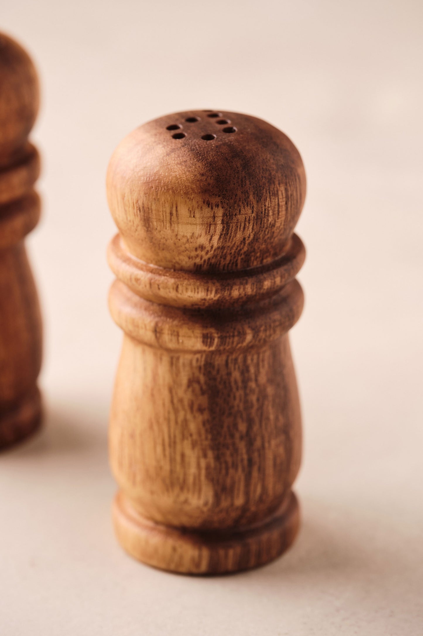 Salt and Pepper Shaker